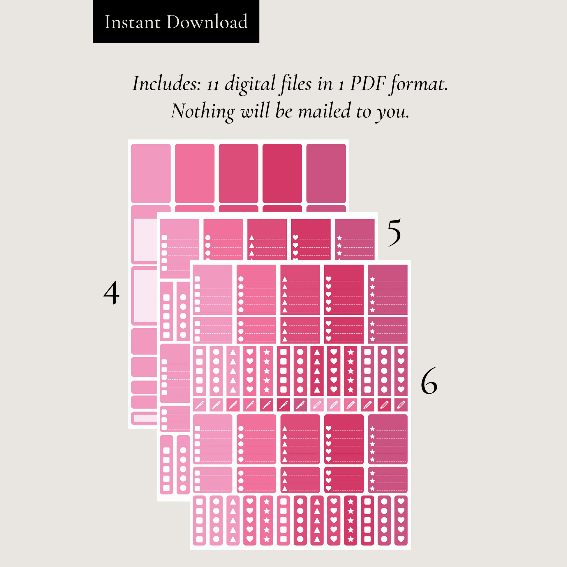 Printable Raspberry Planner Sticker Set